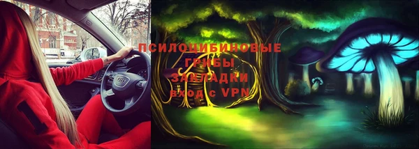 соль курить ск Дмитров
