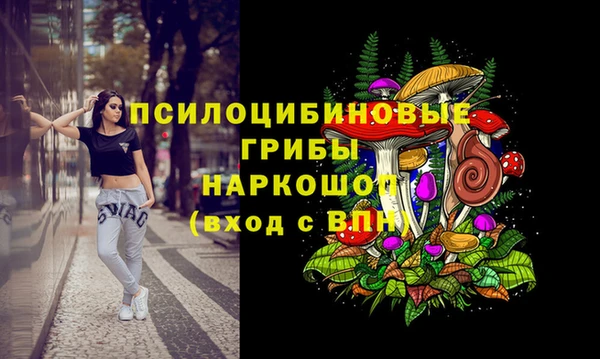 амф Дмитриев