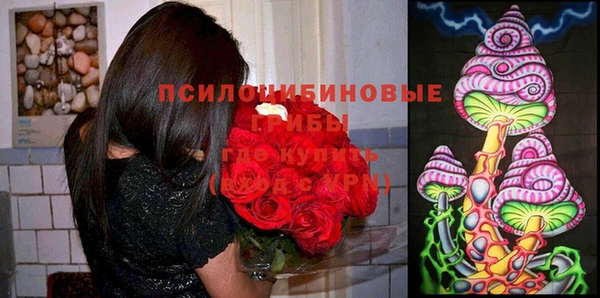 амф Дмитриев