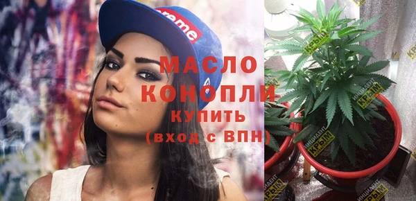 амф Дмитриев