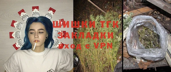 амф Дмитриев