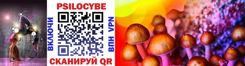 Купить где  Солигалич  Псилоцибиновые грибы MAGIC MUSHROOMS 