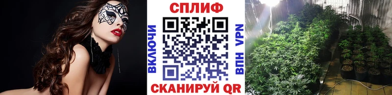Купить где  Солигалич  Шишки марихуана Ganja 
